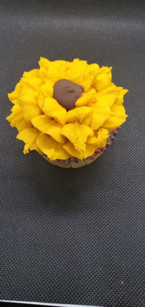 Chocolate Cupcake
